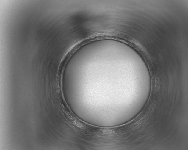 X0000058120878200510071936