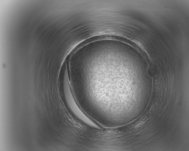 X0000058120879200510071936