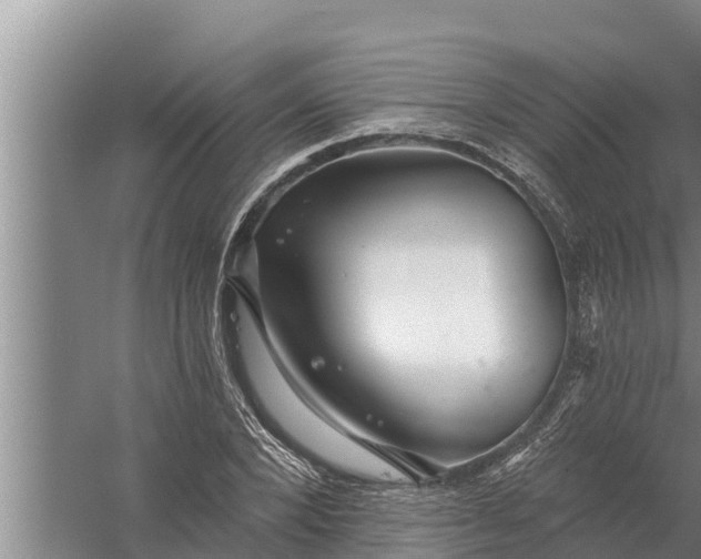 X0000058120880200510071936