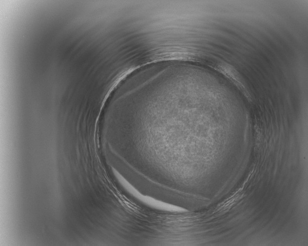 X0000058120883200510071936