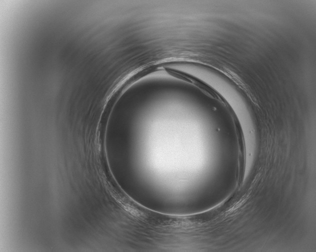 X0000058120885200510071936