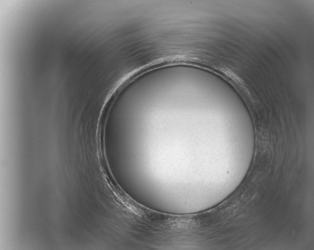 X0000058120886200510071936