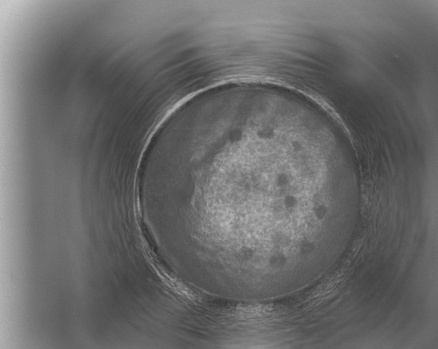 X0000058120887200510071936