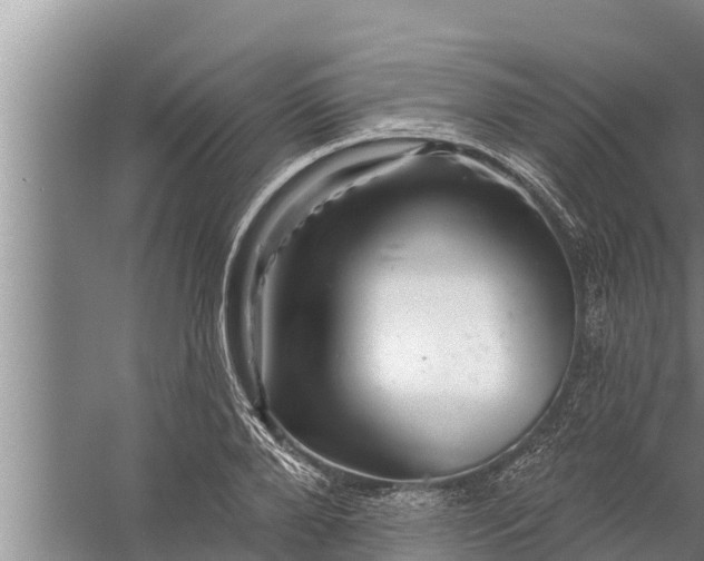 X0000058120888200510071936