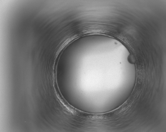 X0000058120890200510071936