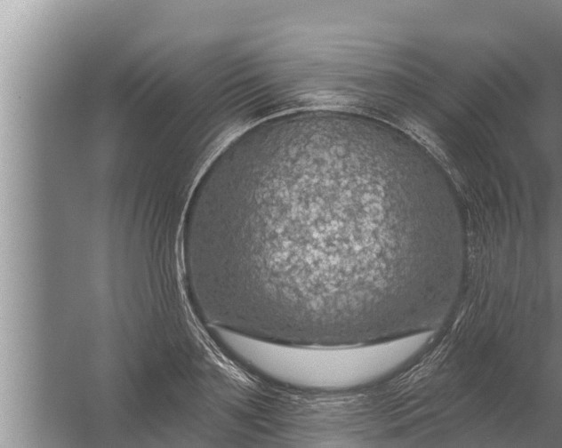 X0000058120891200510071936