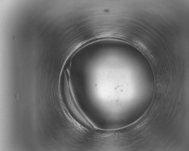 X0000058120892200510071936