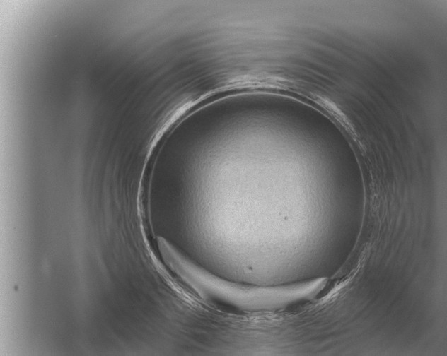 X0000058120893200510071936