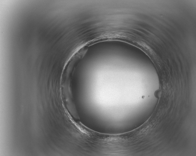 X0000058120894200510071936