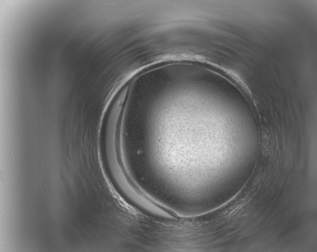 X0000058120895200510071936