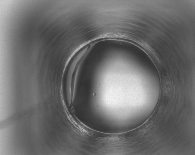 X0000058120896200510071936