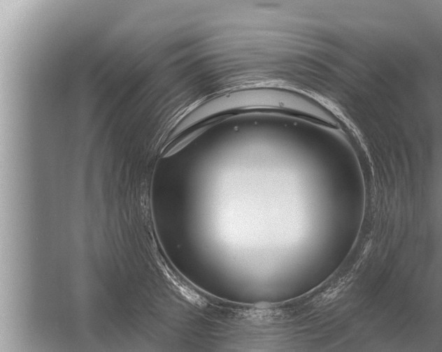 X0000058120897200510071936