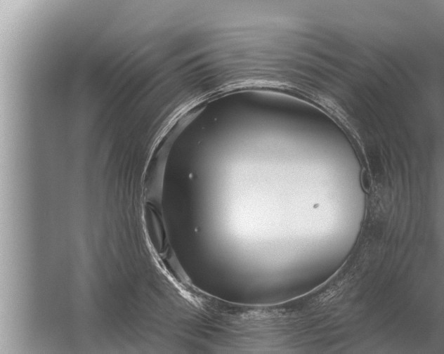 X0000058120898200510071936