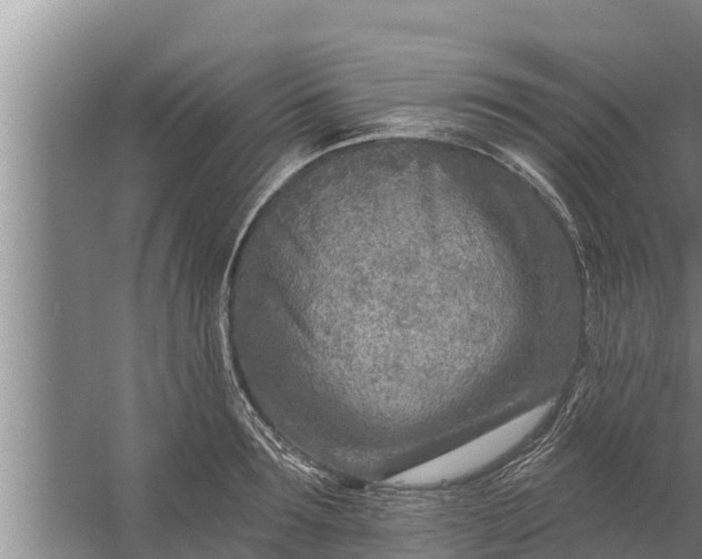 X0000058120899200510071936