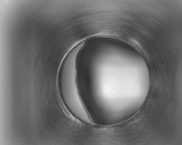 X0000058120900200510071936