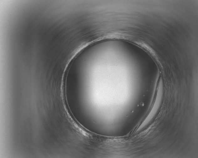 X0000058120902200510071936