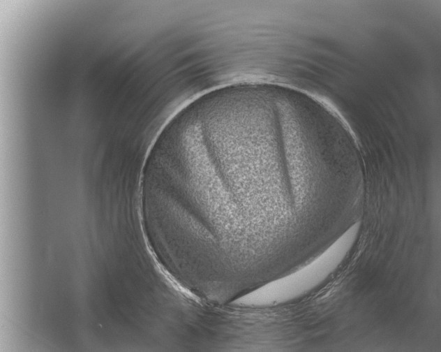 X0000058120903200510071936