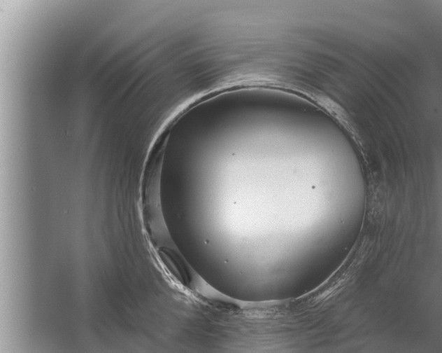 X0000058120904200510071936