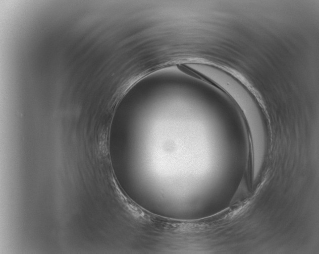 X0000058120905200510071936