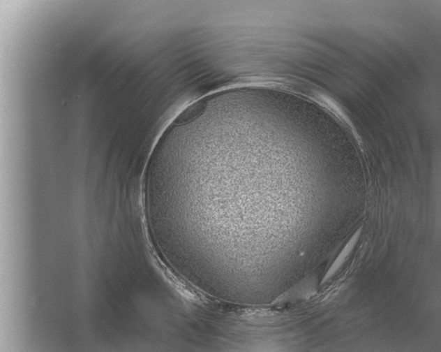 X0000058120907200510071936