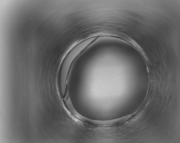 X0000058120909200510071936