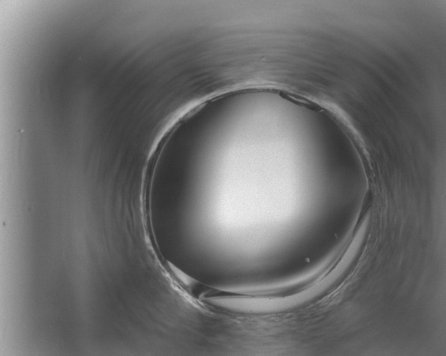 X0000058120910200510071936