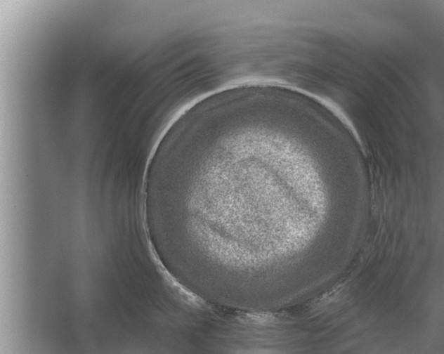 X0000058120911200510071936