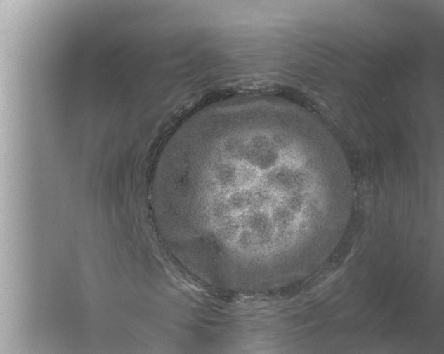 X0000058120913200510071935