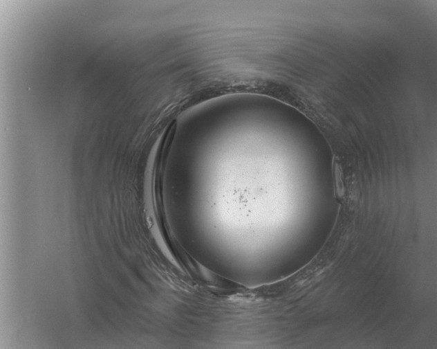 X0000058120916200510071935