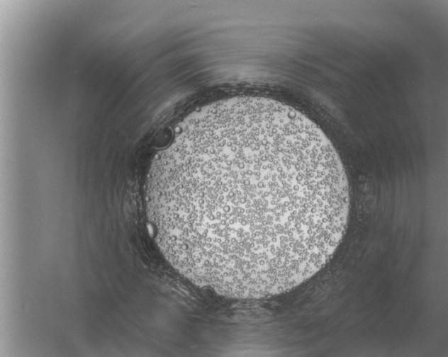 X0000058120918200510071935