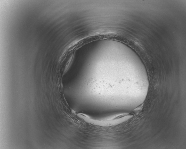 X0000058120920200510071935