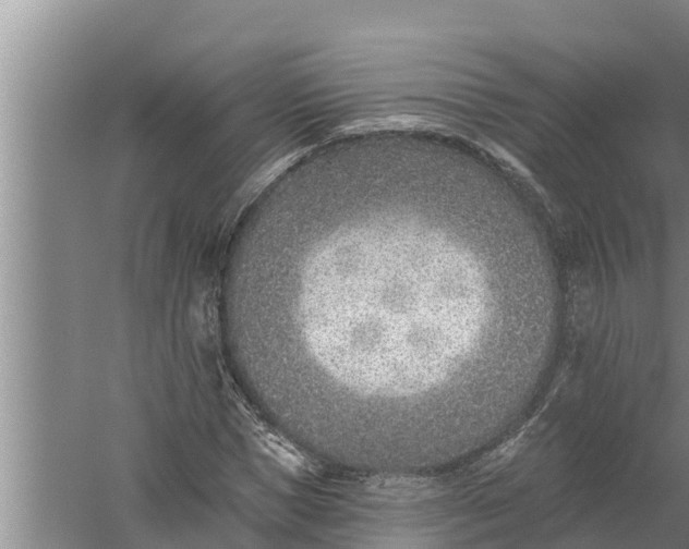 X0000058120921200510071935