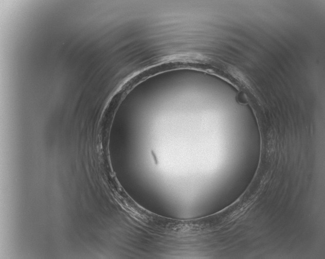 X0000058120923200510071935