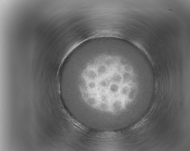 X0000058120925200510071935