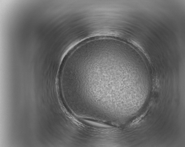 X0000058120928200510071935