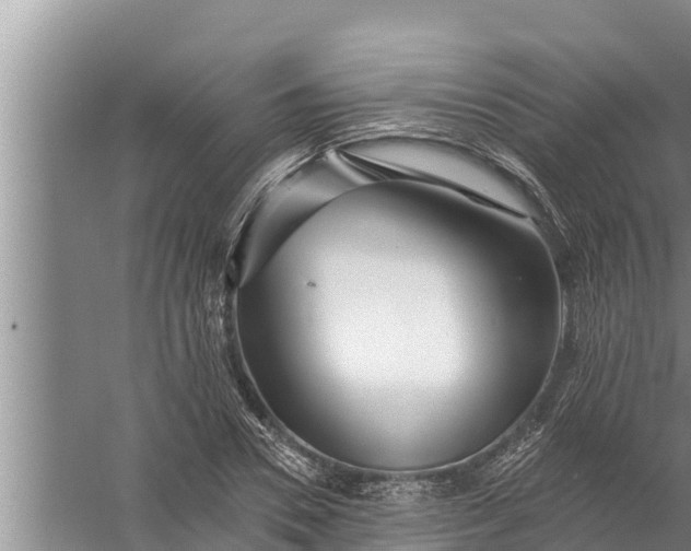 X0000058120930200510071935