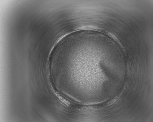 X0000058120931200510071935