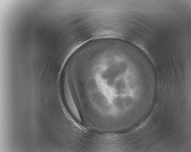 X0000058120933200510071935