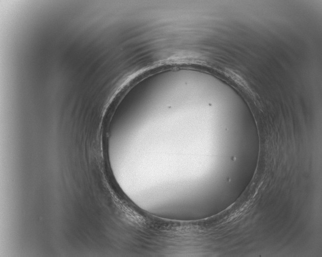 X0000058120934200510071935