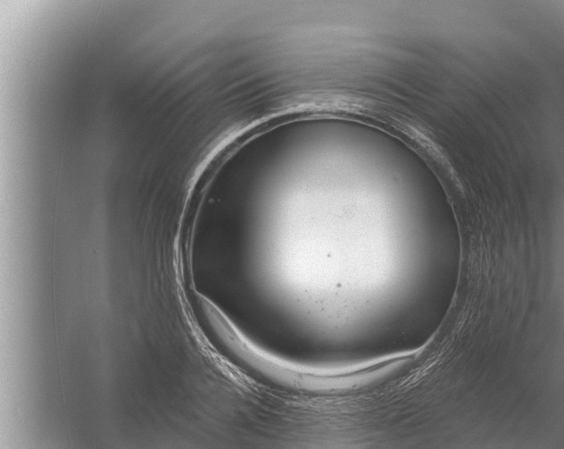 X0000058120936200510071935