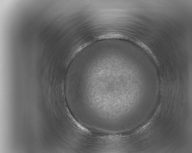 X0000058120937200510071935