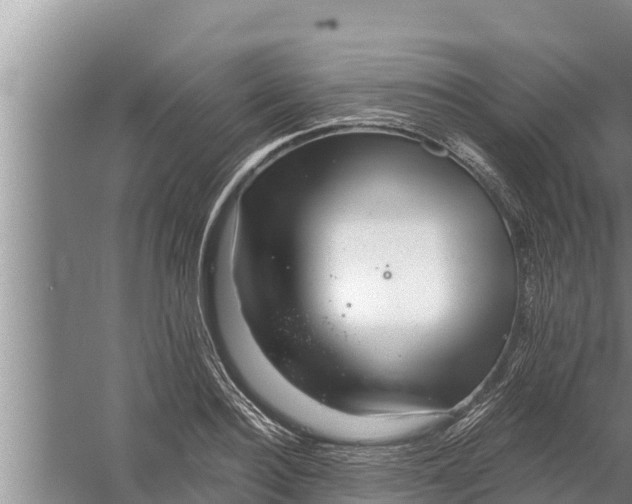 X0000058120940200510071935