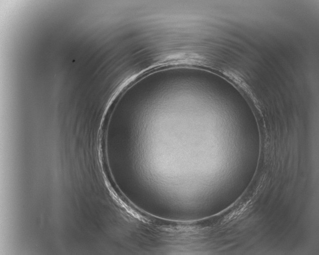 X0000058120941200510071935