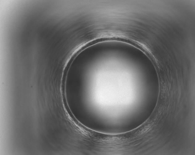 X0000058120943200510071935