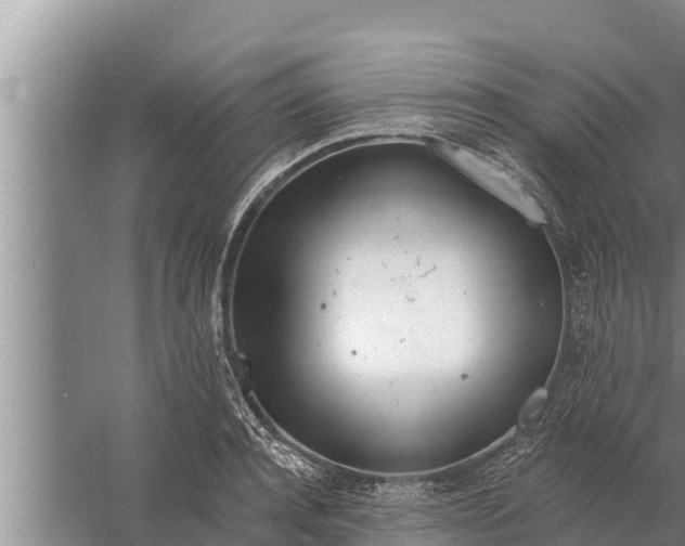 X0000058120944200510071935