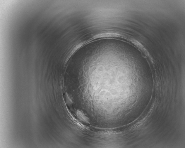 X0000058120945200510071935