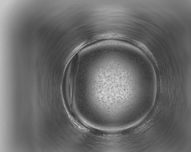 X0000058120946200510071936