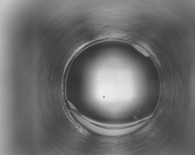 X0000058120948200510071936