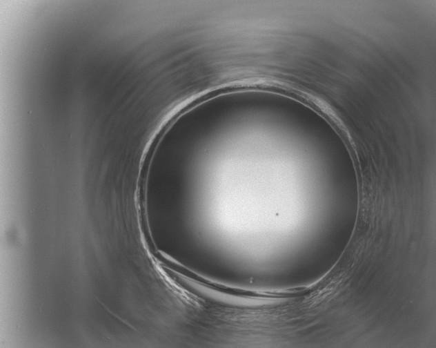 X0000058120951200510071936