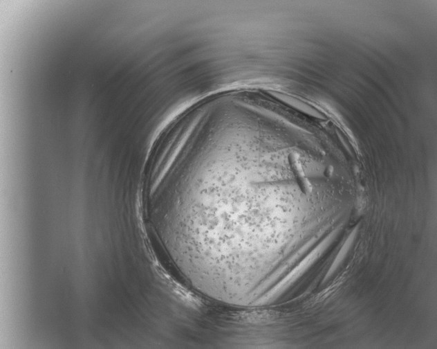 X0000058120952200510071936